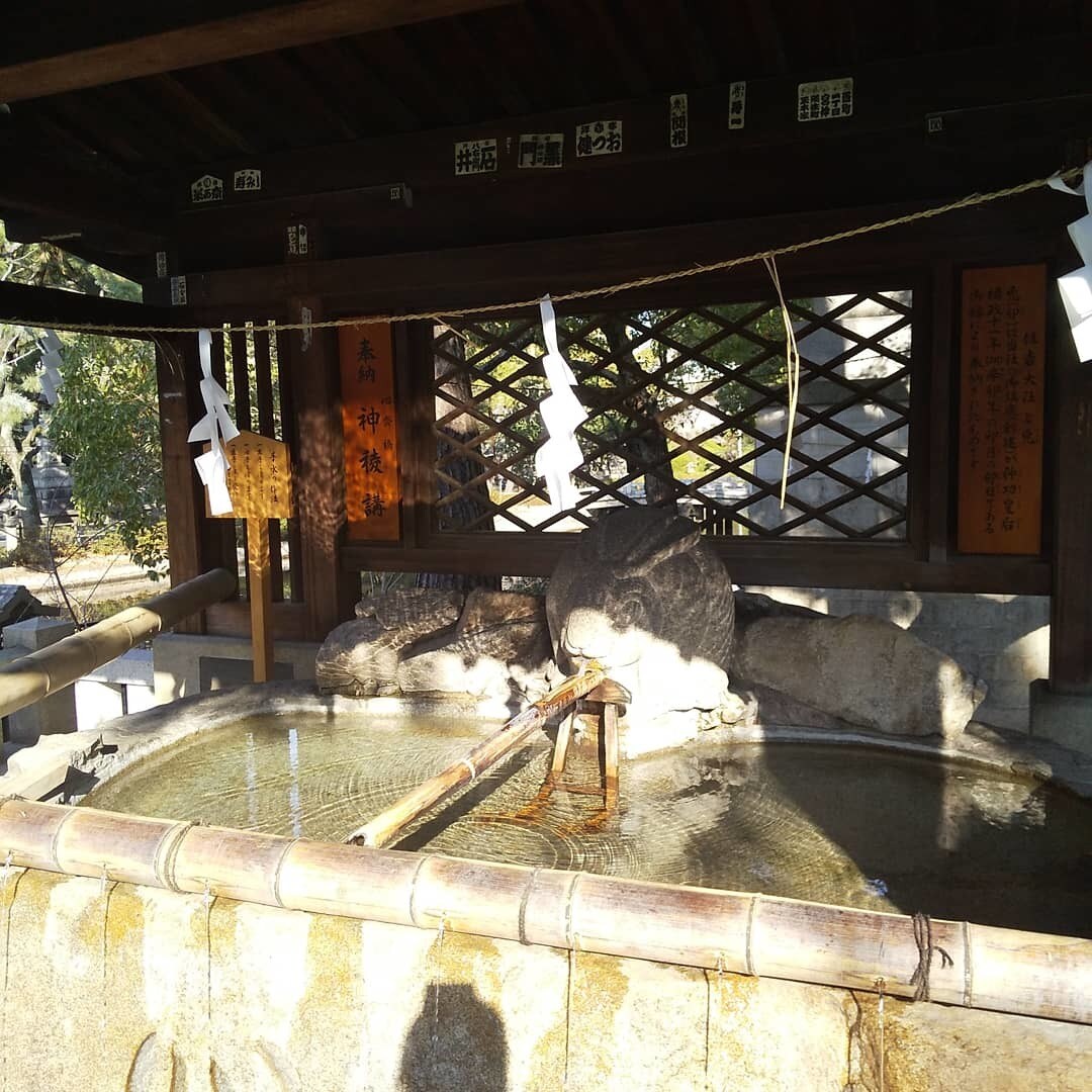 旅行管理者資格保持者が神社参拝旅行を一緒に考えます スピリチュアル旅行をしたいから、誰かと相談しながら決めたい♪ イメージ7