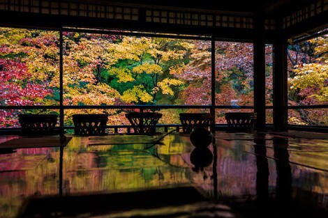 京都のいい所教えます 京都に旅行の際、ふらっとカフェ巡り、神社巡り等穴場教えます イメージ1