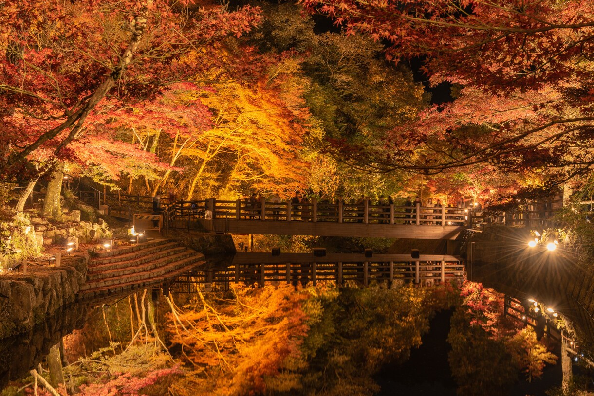 バラ売り可！あなたがお探しの写真、提供します 再現像も承ります！シーンに応じて様々な写真をお届けします。 イメージ4