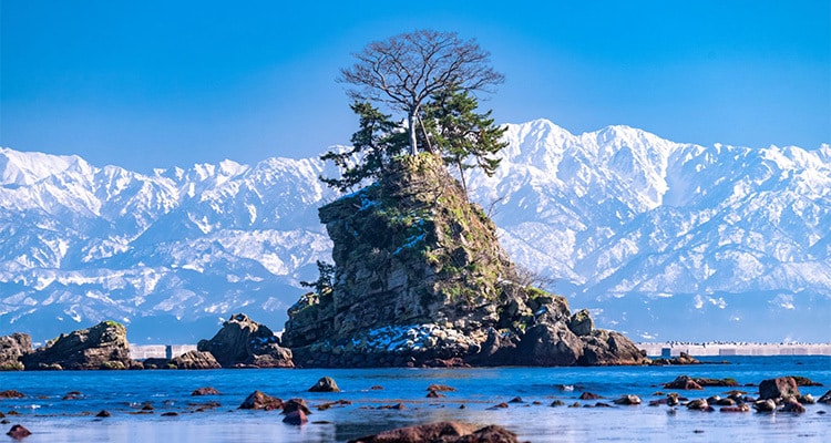 霊視であなたの波長に合う人＆空間などを鑑定します 自分の事をよく知りたい方へ/人、空間、対処法など相性見ます イメージ2
