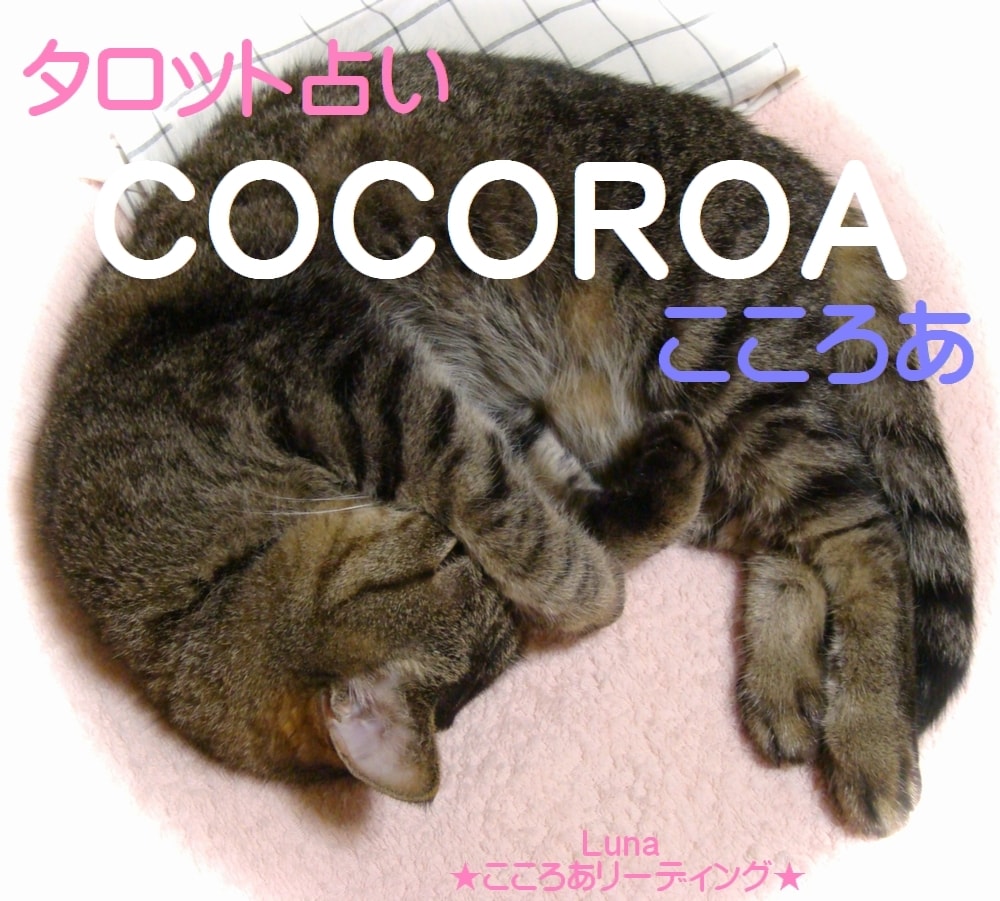 あなたの恋♡お相手のこころ、ハッキリ！お伝えします ♡恋愛専科♡ 揺れる想いをスッキリと。笑顔のあなたへ・・・ イメージ5