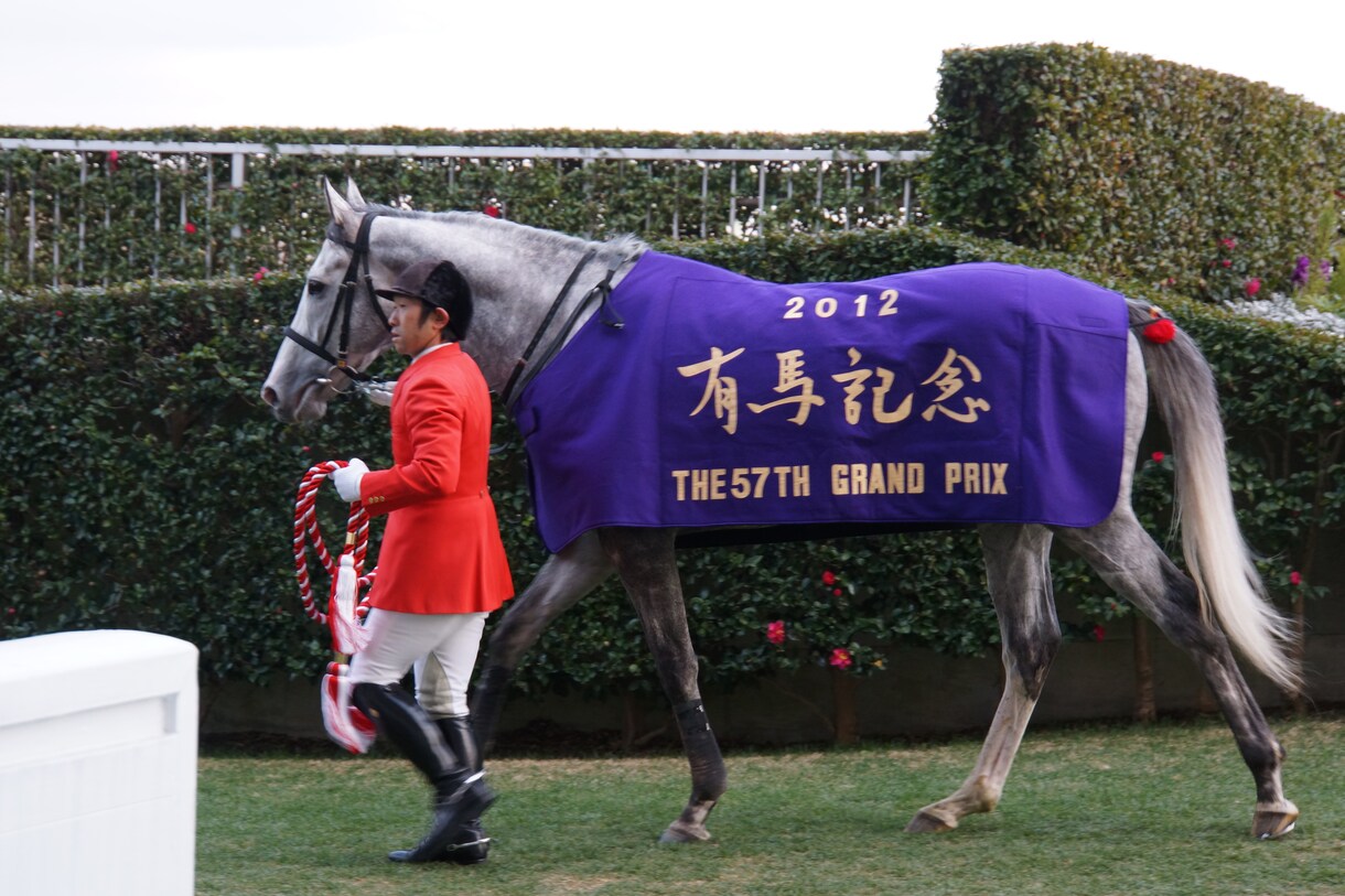 2017　有馬記念　一押し馬を教えます 2017有馬記念はこの馬で決まりです。 イメージ1