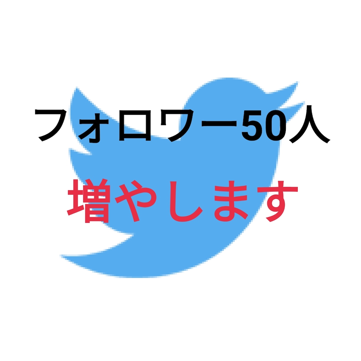 Twitterのフォロワー50人増やします Twitterアカウントフォロワー約5000人にて宣伝します イメージ1