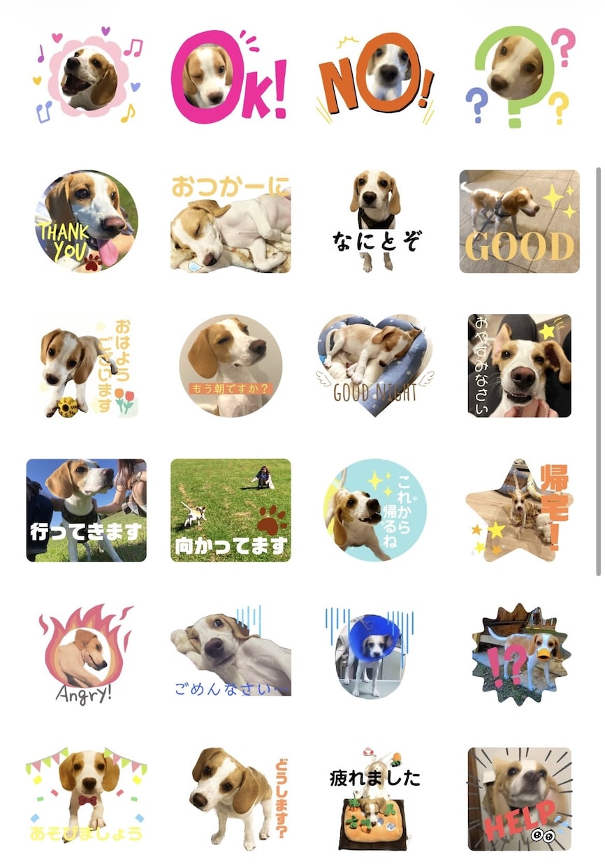大切な家族のLINEスタンプを作成します 【かわいい・見やすい・使いやすい♡】 イメージ3
