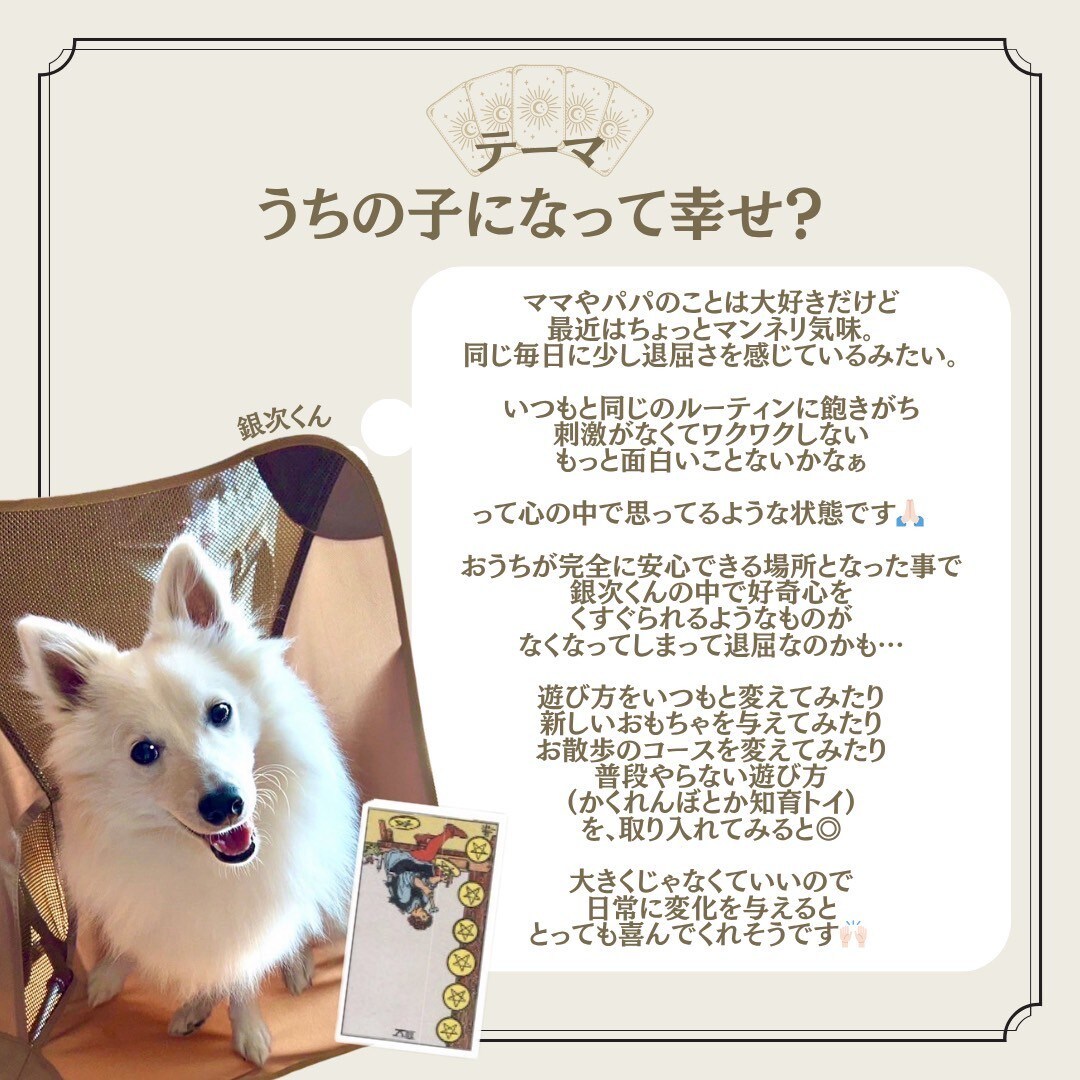 1枚引きで大切な家族の気持ちを占います タロットカード：ペットちゃんの気持ち占い イメージ7