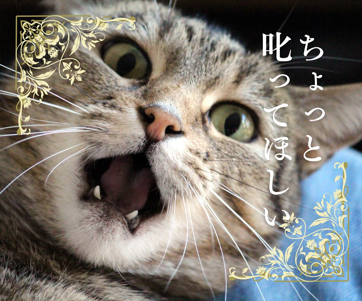 そばにいるよ。心を軽くする会話をします 抱えている思いを取り除いて♡心が前に進むお手伝いをします。 イメージ8