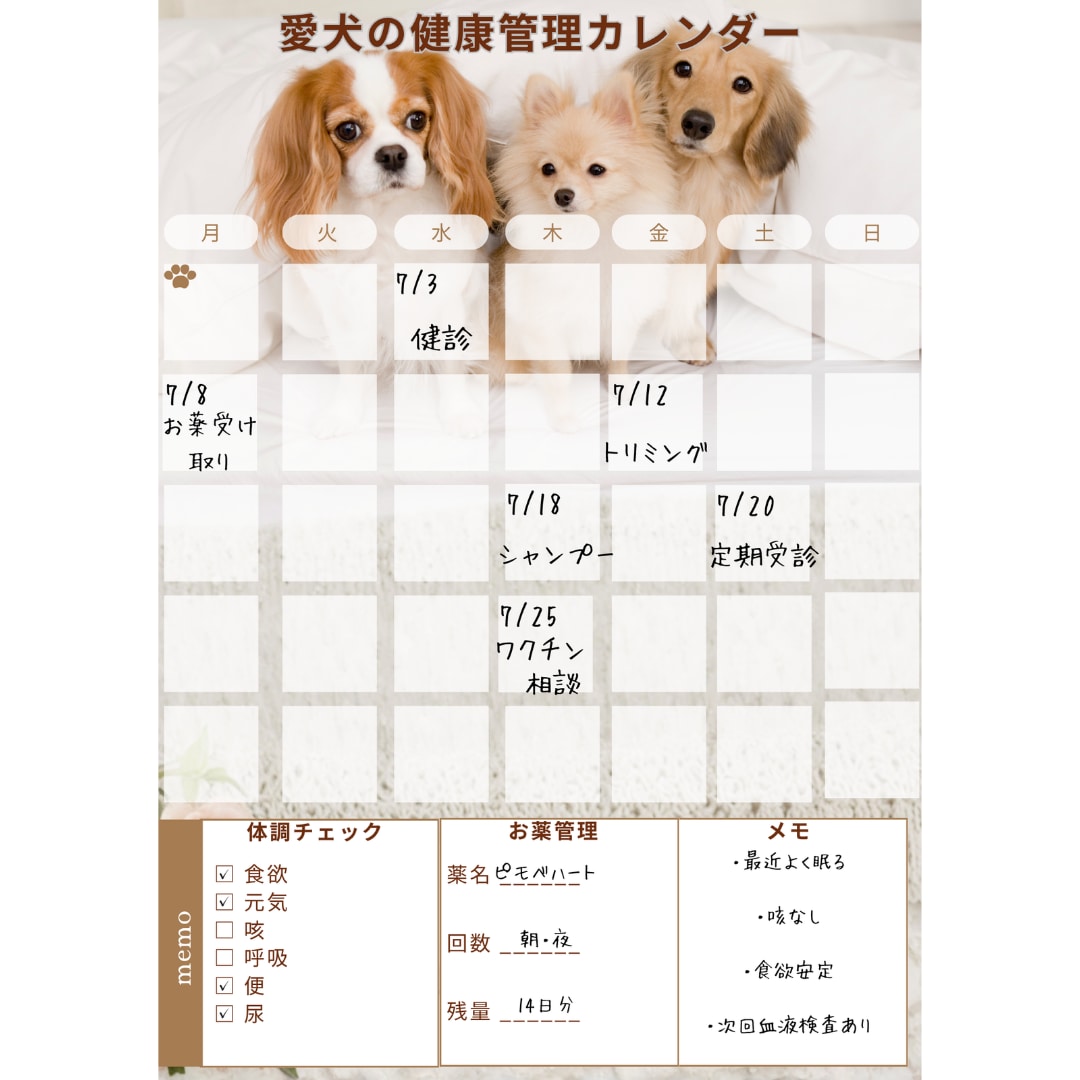 愛犬の健康管理カレンダー作れます 通院・お薬・体調をまとめて管理できます イメージ4