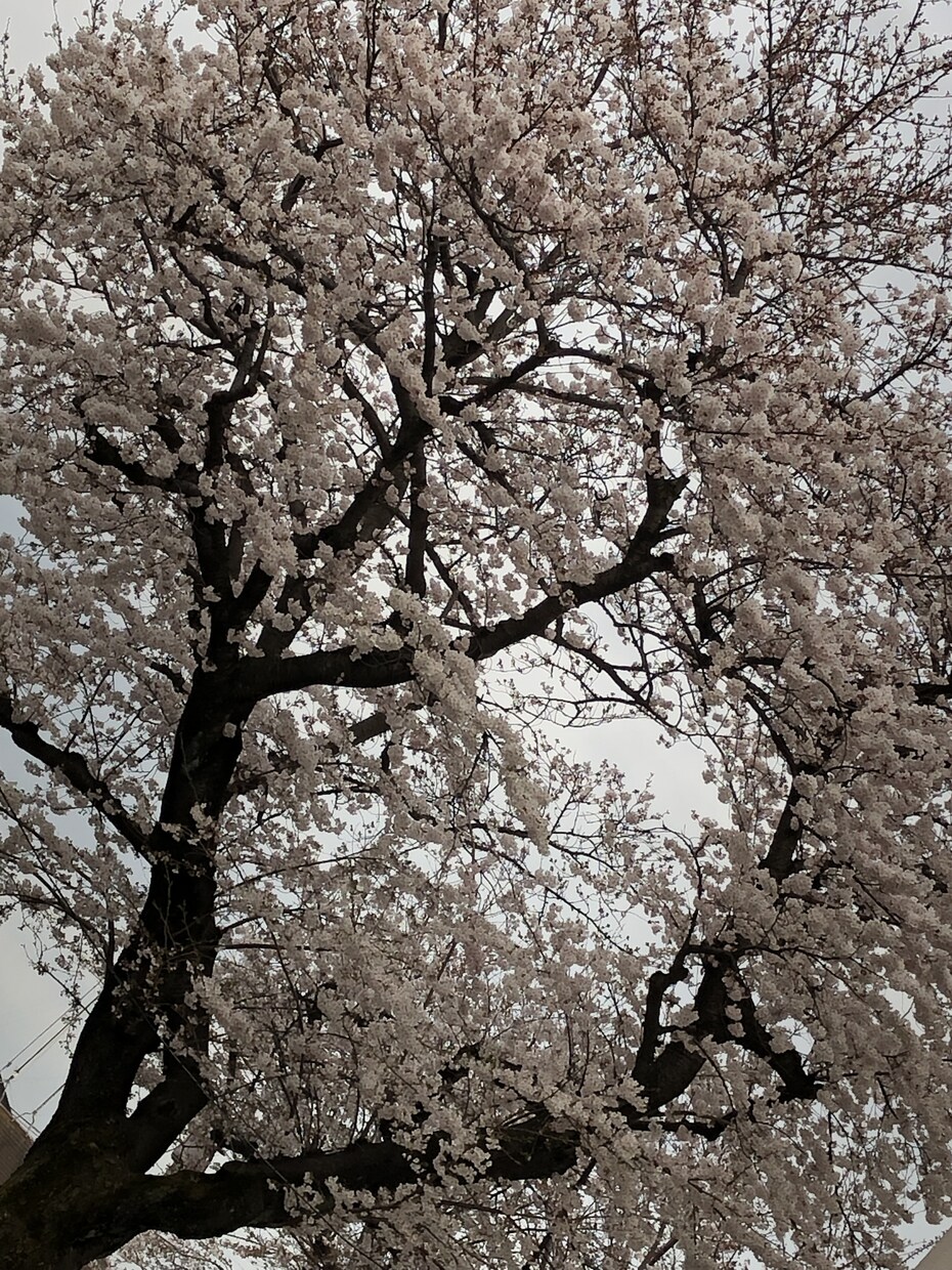 お悩み愚痴相談うけさせていただきます 寂しいときやうまくいかないときなんでも話してください イメージ1