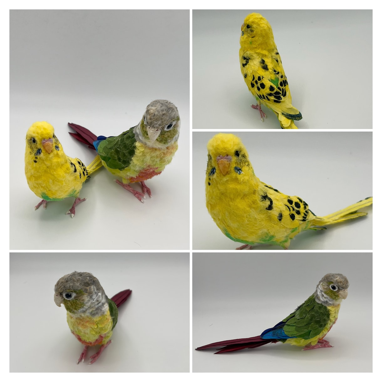 リアルで可愛いペットのインコ人形を作成します 大事なペットちゃんを和紙で可愛く作ります！ イメージ2