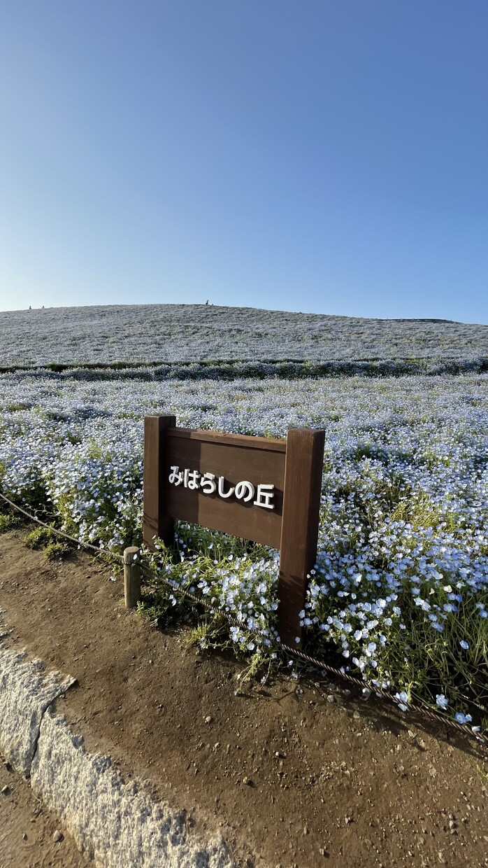 学生さん等の旅行プランをご提案させていただきます 男旅、女子旅、カフェ巡り旅、写真映え旅など様々なジャンル可 イメージ6