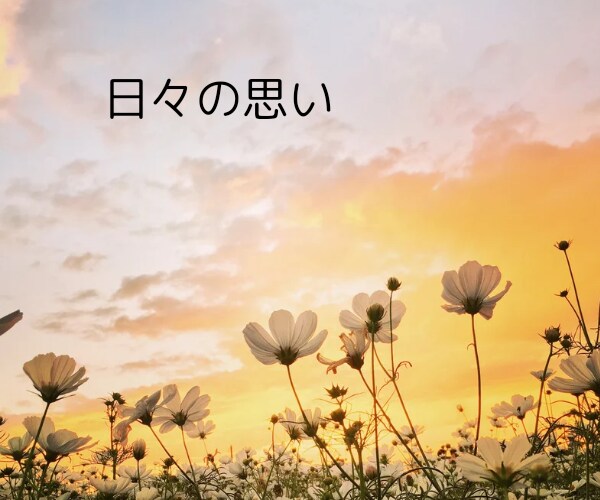 親子関係のお悩み★解決へとお導きします つらい感情★深い傷★ヒーリング✨寄り添い優しく癒やします✨ イメージ3