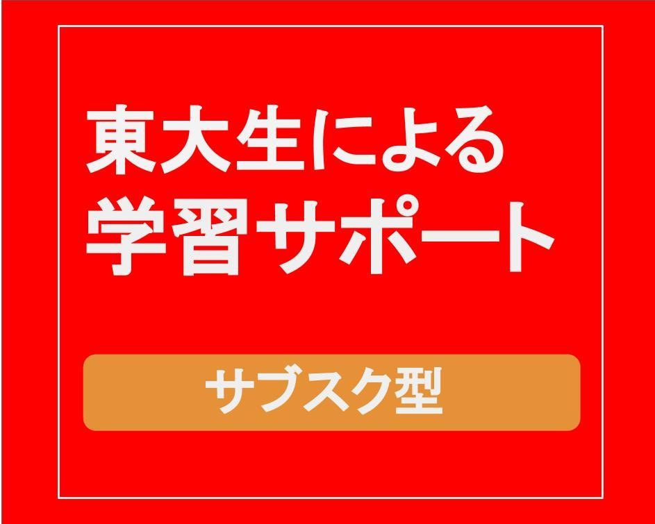 塾講経験豊富な元東大生が学習コンサルティングします 勉強に関する相談から質問対応までサブスク定額サポート！ イメージ1