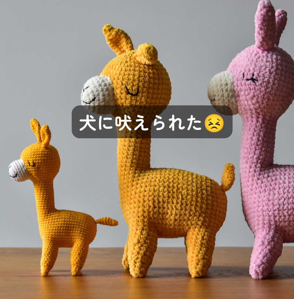 くだらない話・どうでもいい話を喜んで聞きます オチも結論もいりません♪ただ話したい時に イメージ7