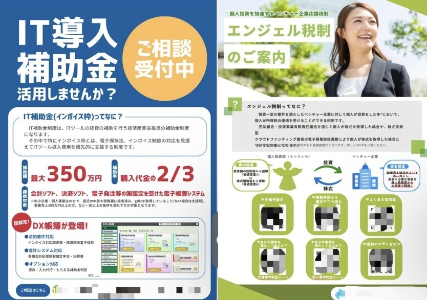 法人向け！補助金・税制案内のチラシ制作します 複雑な情報を整理！一目で内容が伝わる誠実なデザインをご提案！ イメージ1