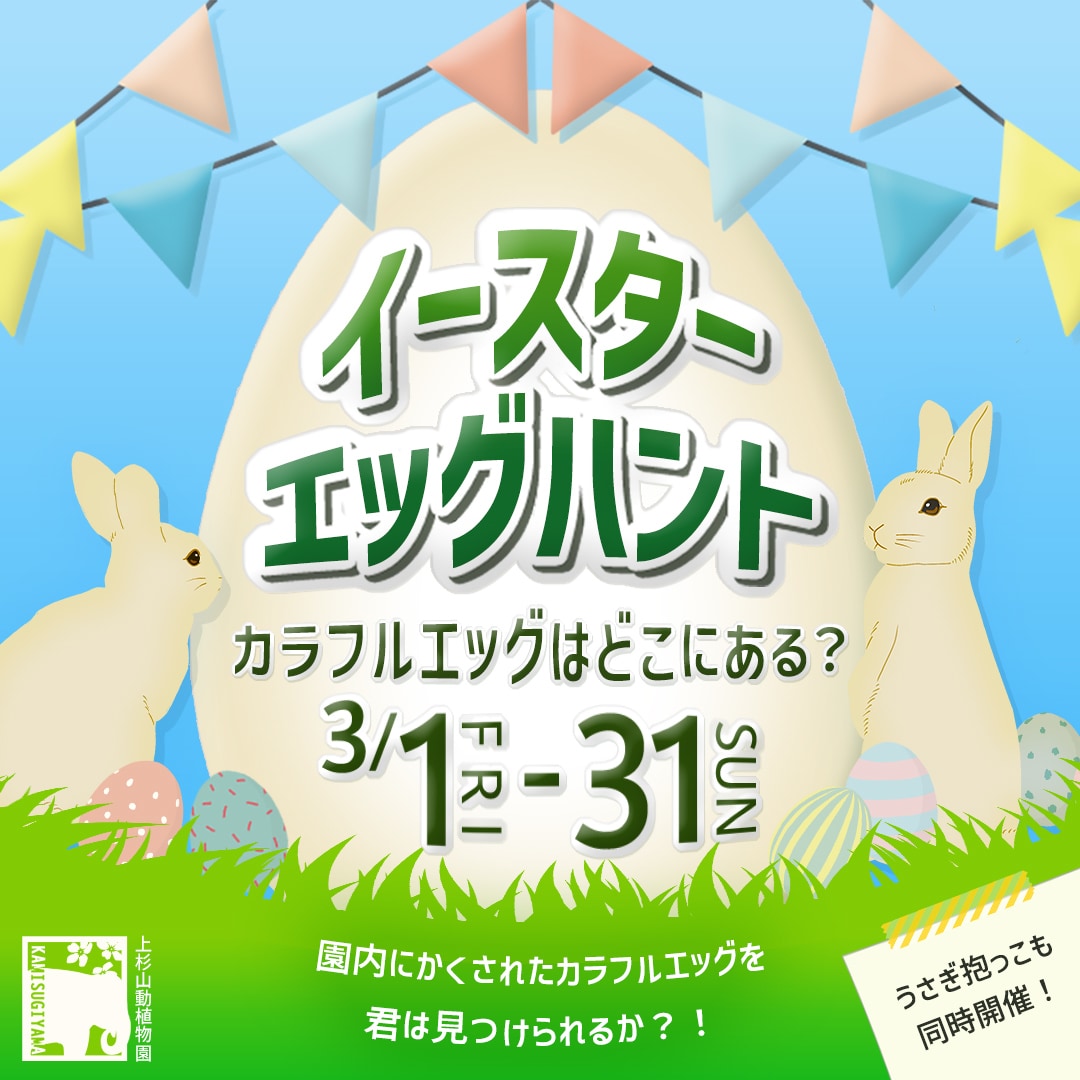 女性集客のためのWEB画像を作成いたします ✨繊細な色彩感覚で女性の心を掴みます✨ イメージ3