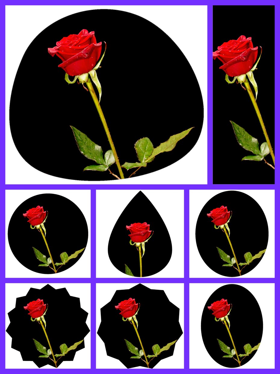 画像を可愛い形で切り抜きます ホームページ等などに使う画像を可愛くしませんか？✵੯•`໒♥ イメージ3