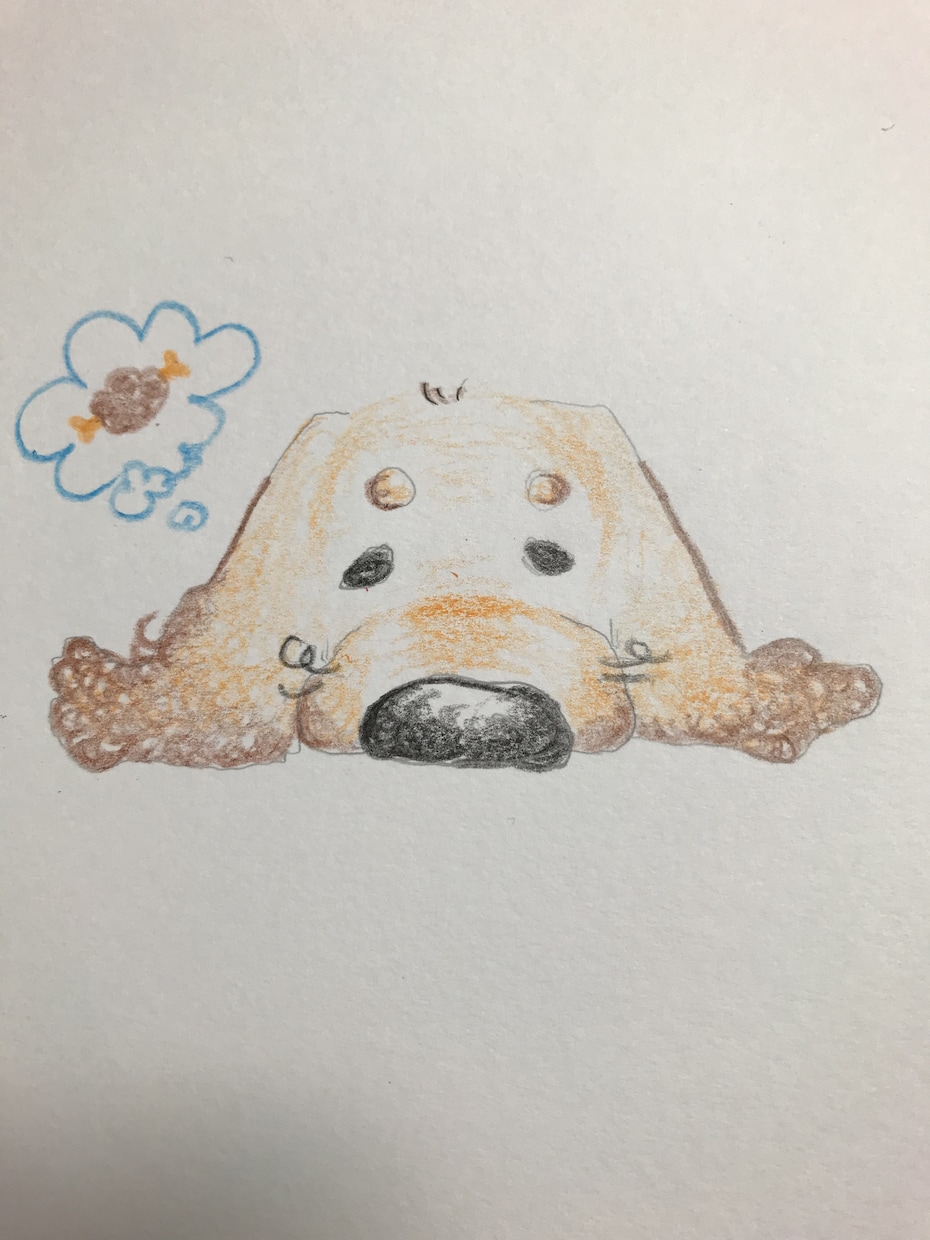 ペットからのイラストつきお手紙を書きます とにかく可愛さを前面に出していきます イメージ5