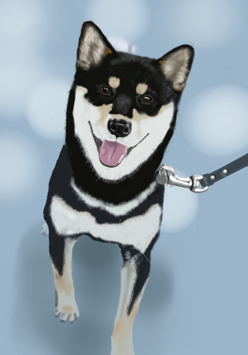 ペットの写真をもとにリアルなイラスト描きます プレゼントや、スマホの待ち受け、アイコンにお使いいただけます イメージ5