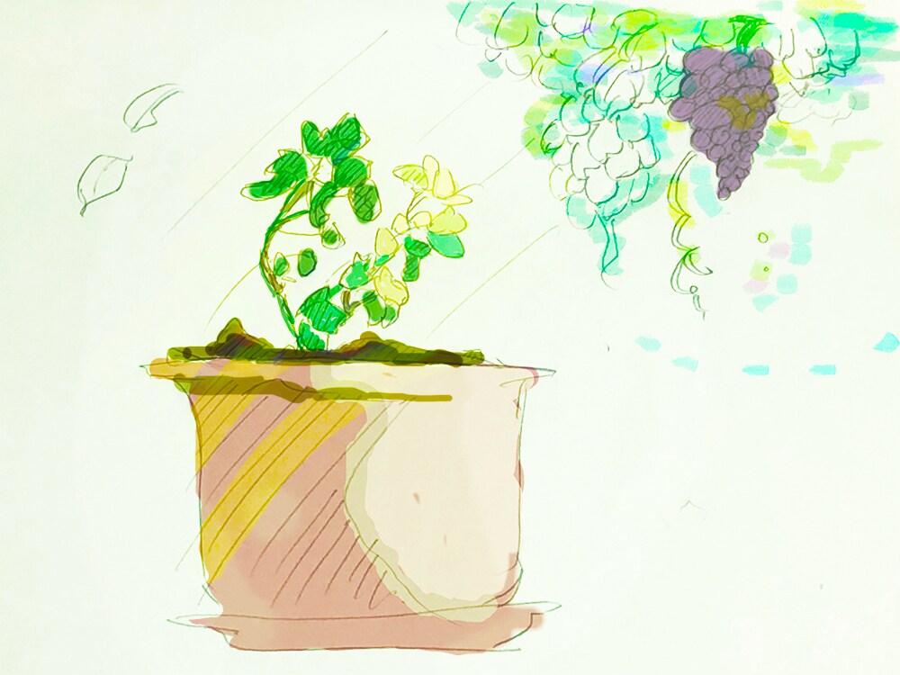 味があっておしゃれな挿絵イラスト描きます スケッチ風味の味のある絵を探している方へ イメージ6