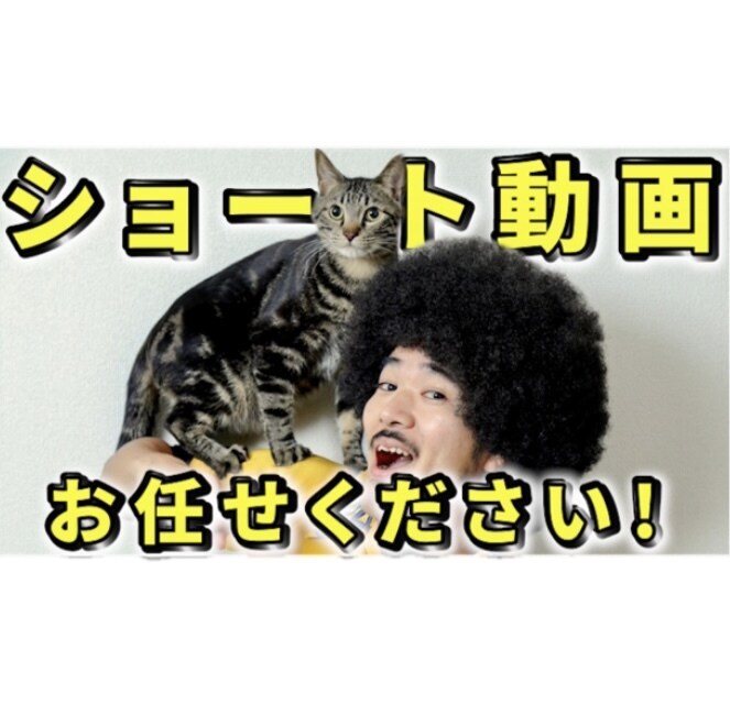 理想の動画を制作します ・TikTok・YouTube・インスタお任せください！ イメージ1
