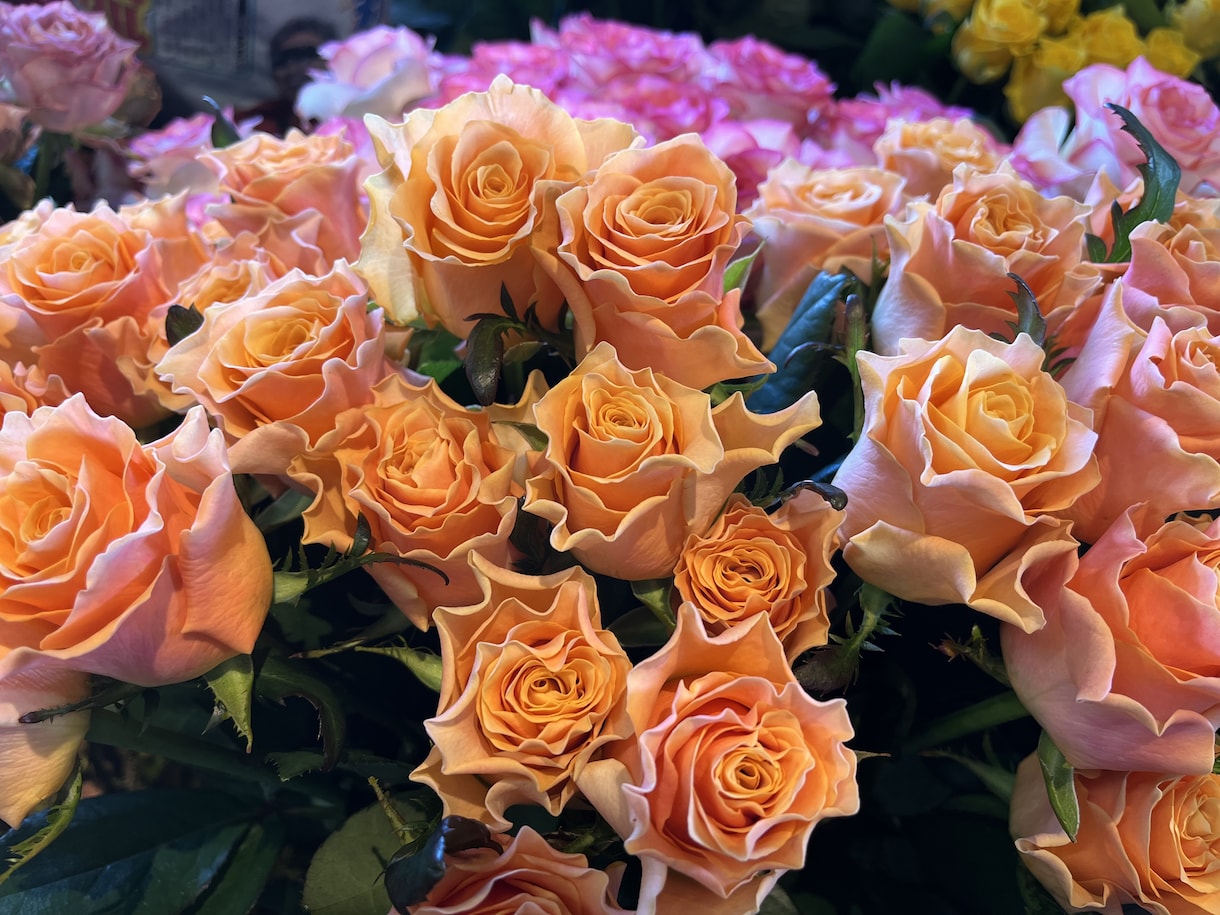 心に癒しを♪部屋に合う季節のお花をお届けいたします 1人1人のお客様と相談しながらお花を選びます♪ イメージ2
