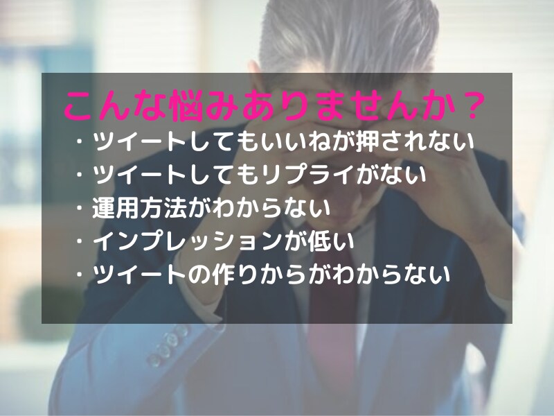Twitter運用を３０日間コーチングします プロマーケターによるTwitter運用コーチング イメージ3
