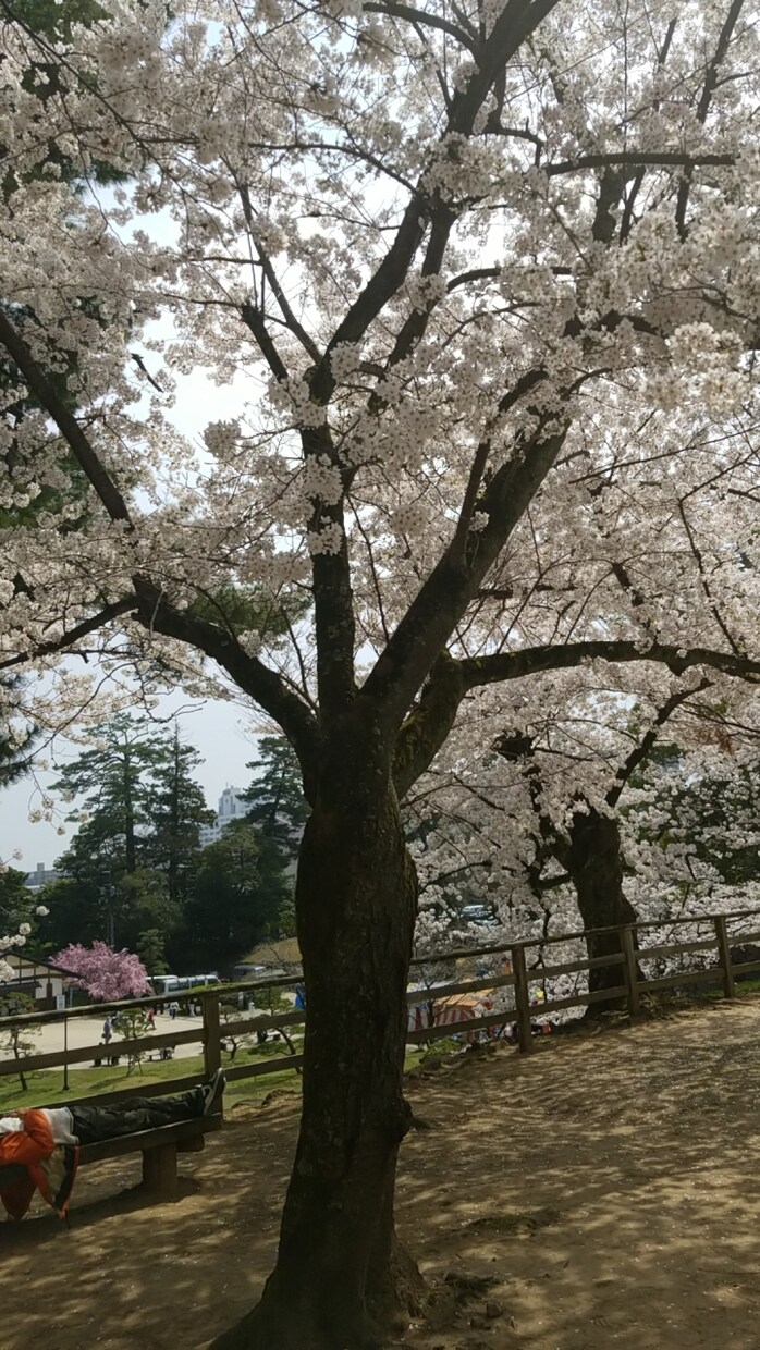 とりあえず話し相手になります 収入ないのでとりあえず様子見で話くらいは聞けるかなと イメージ1
