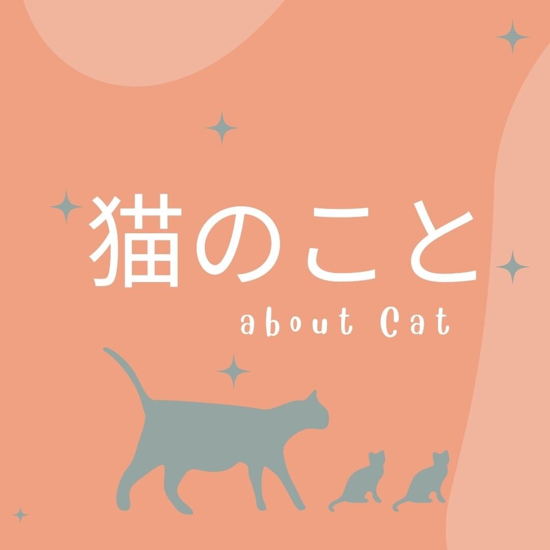 猫飼育歴30年の愛猫男が悩みにのります 30分1500円！猫のことで悩んでる人、猫雑談等。 イメージ1