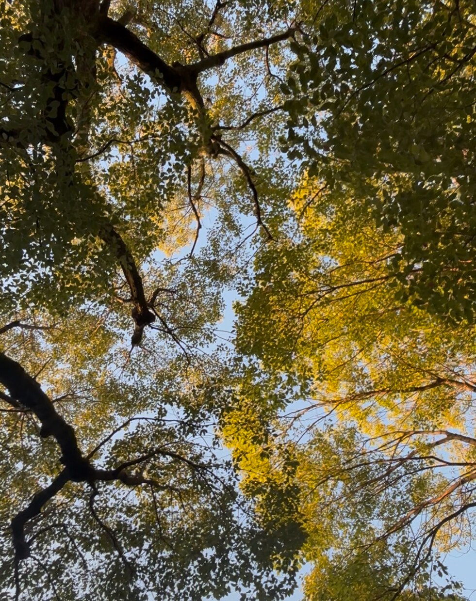 この時間、考えごとをそのまま話せます 答えを出さなくて大丈夫な電話です　一人で抱え込まなくていい イメージ3