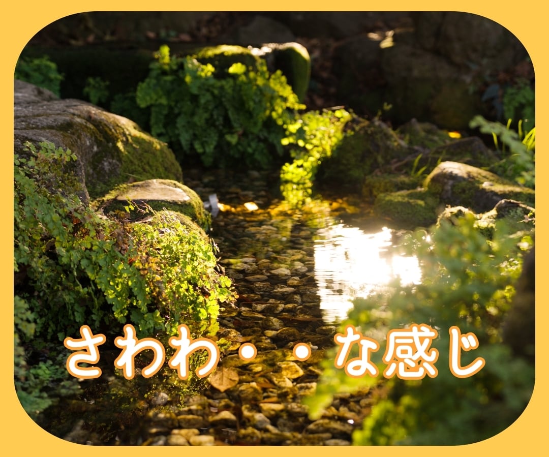 想いは深く流れてる・・あるはんパワー、差しあげます なんでもお話しください・・心の空に、ふわりと浮かんだこととか イメージ6
