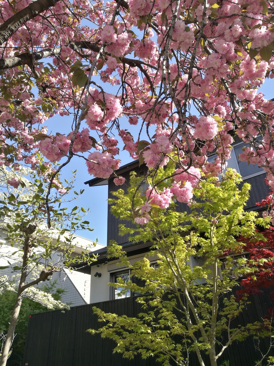 花や植物の相談受付ます 花や植物のある暮らしを一緒に楽しみませんか？ イメージ2