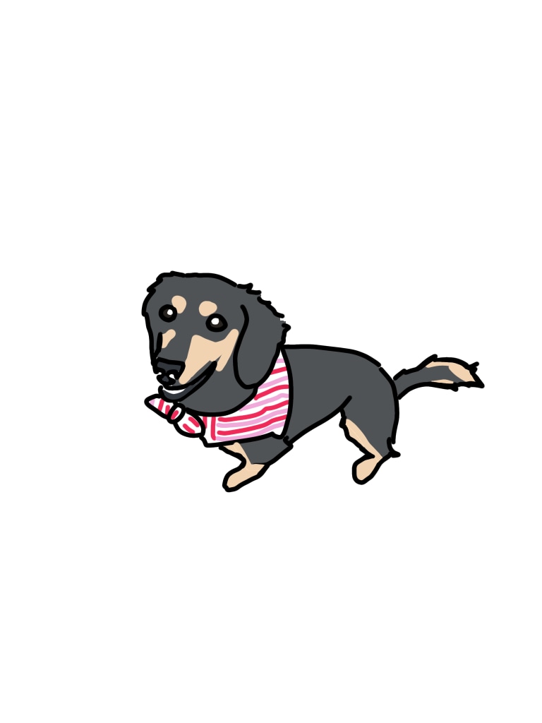 ペット、動物のイラスト描きます 可愛いうちの子描いて！という方へ イメージ6