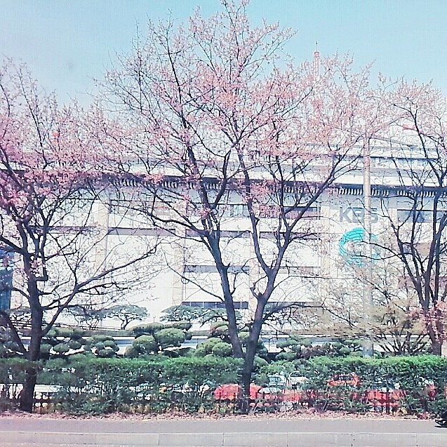 韓国のこと!趣味〜ビジネスまで何でもお答えします 検定試験,日常会話,ビジネス翻訳,音楽,メイク,市場調査等 イメージ2