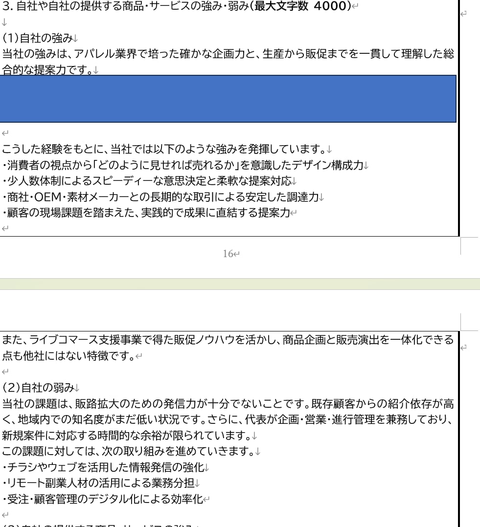 第19回対応 持続化補助金の事業計画書を作成します 様々な角度から、チームで支援します イメージ6