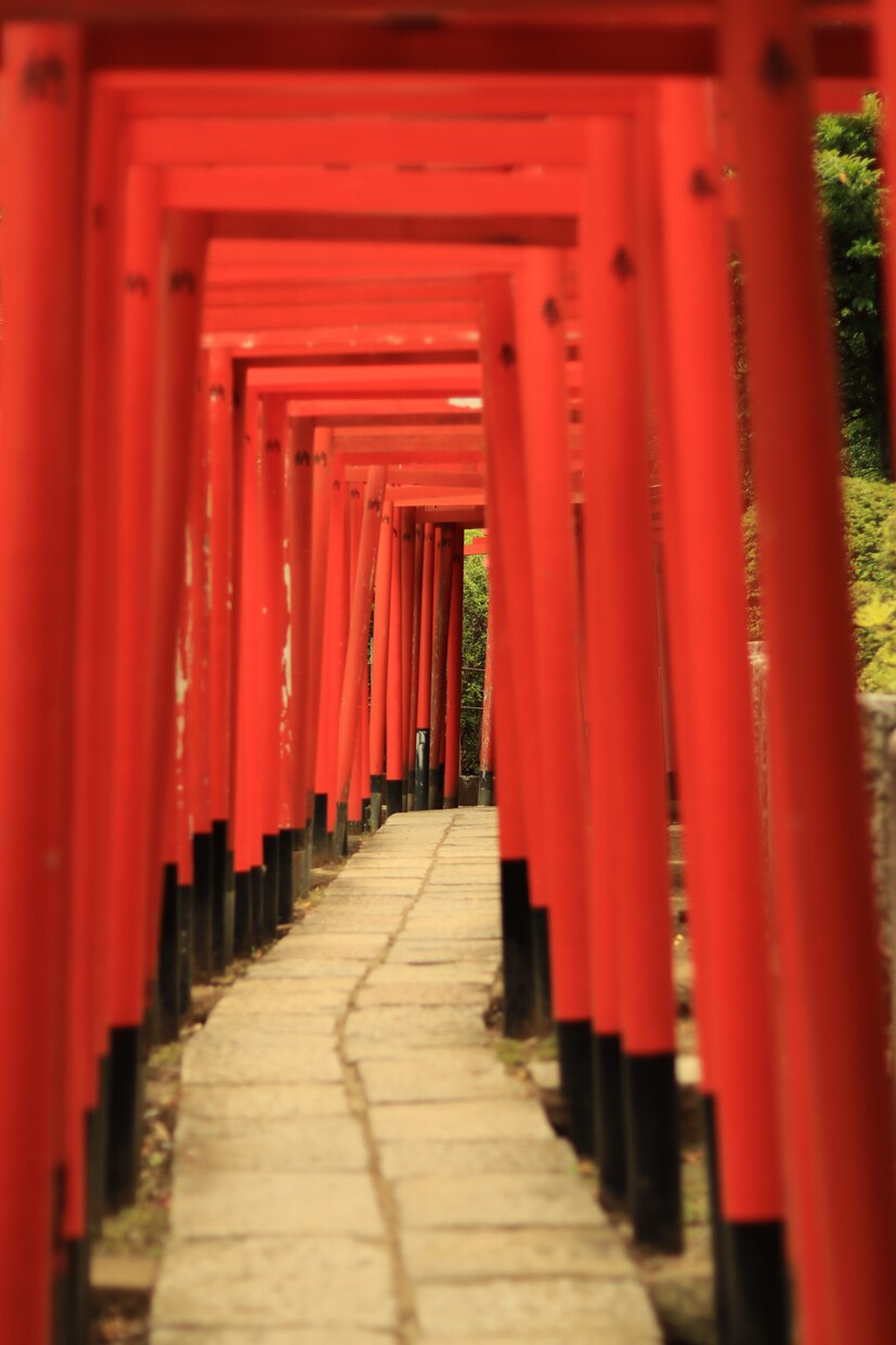 風景画を撮ります 神社や寺院などの寺社仏閣が多めです。他にも色々撮ります。 イメージ2