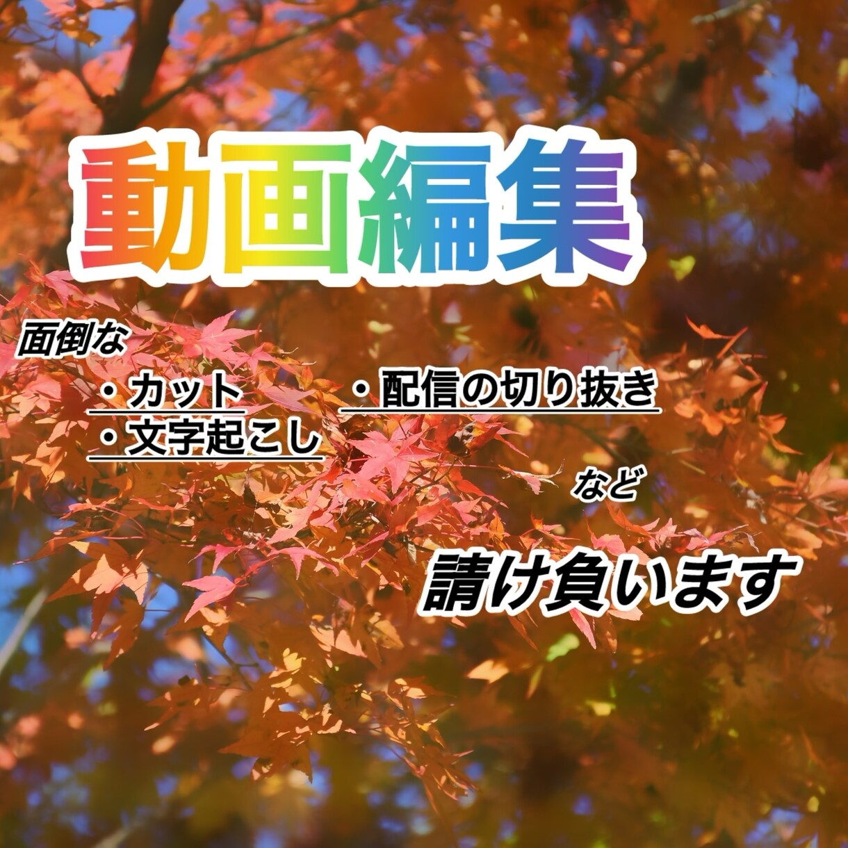 面倒な文字起こしやカット編集を行います 面倒な作業をお客様の代わりに！ イメージ1