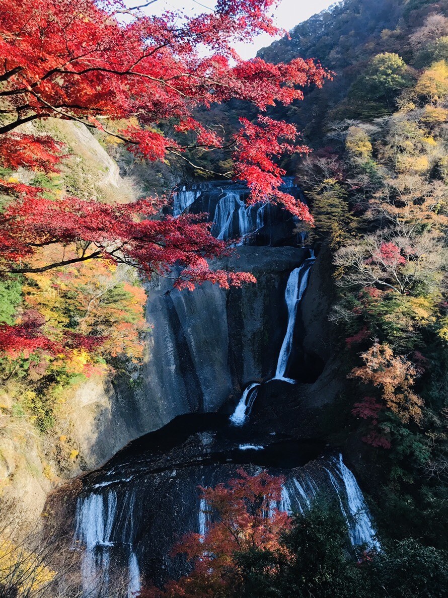 短時間OK。長時間OK。お話し相手になります 悩み事や、ご相談、電話であなたに笑顔を届けます。 イメージ10