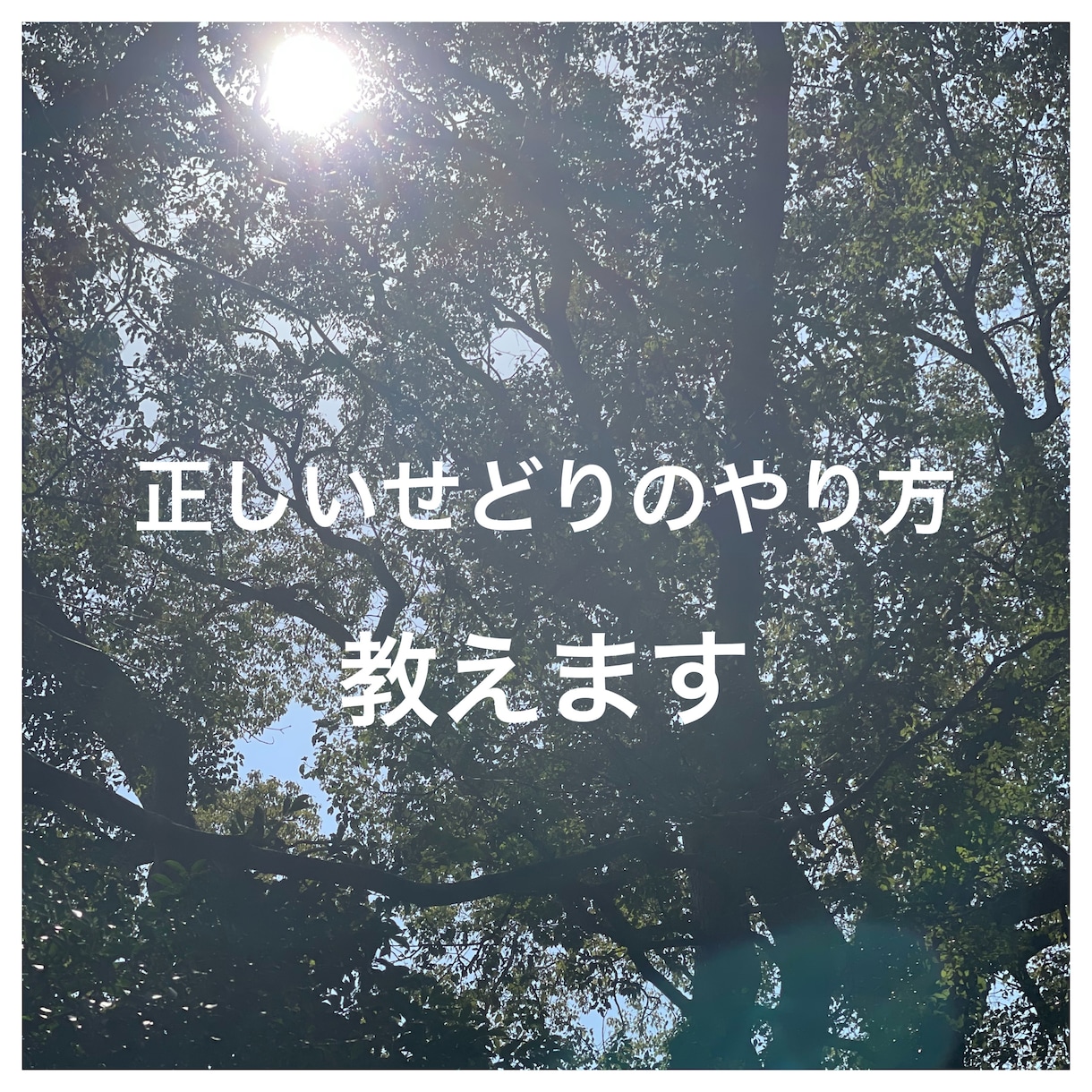 元某大手リサイクルショップの店長が教えます 現役せどり師ですが、ノウハウ教えます。 イメージ1