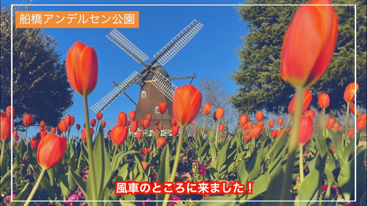 何度でも修正OK！動画編集承ります おしゃれな編集が得意です！丁寧に対応いたします！ イメージ4