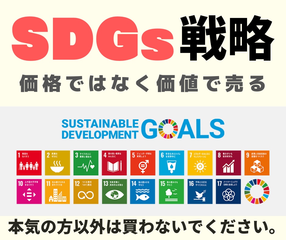 SDGsを経営やビジネスに取り入れるヒント教えます 【SDGsで稼ぐ！】　これが今の時代の新常識です イメージ1