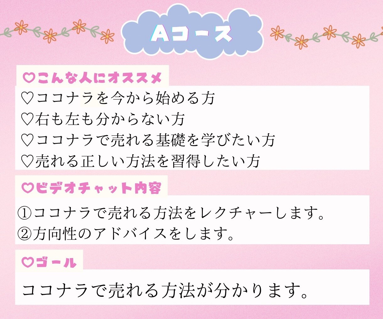 ココナラのお姫様があなただけの特別レッスンします ココナラ初心者〜上級者まで全対応♡選べる4つのコース♡ イメージ3