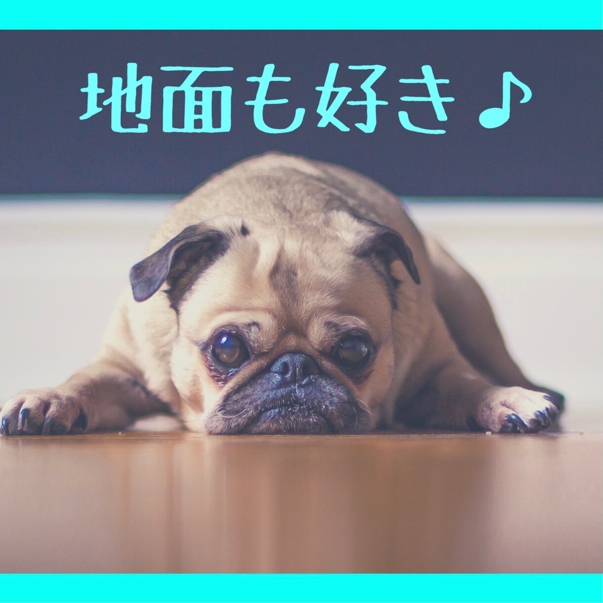 モテ効果抜群❤️笑うことであなたの魅力アップします 毎日ポジティブ⭐️心を明るく前向きにして幸運を引き寄せましょ イメージ8