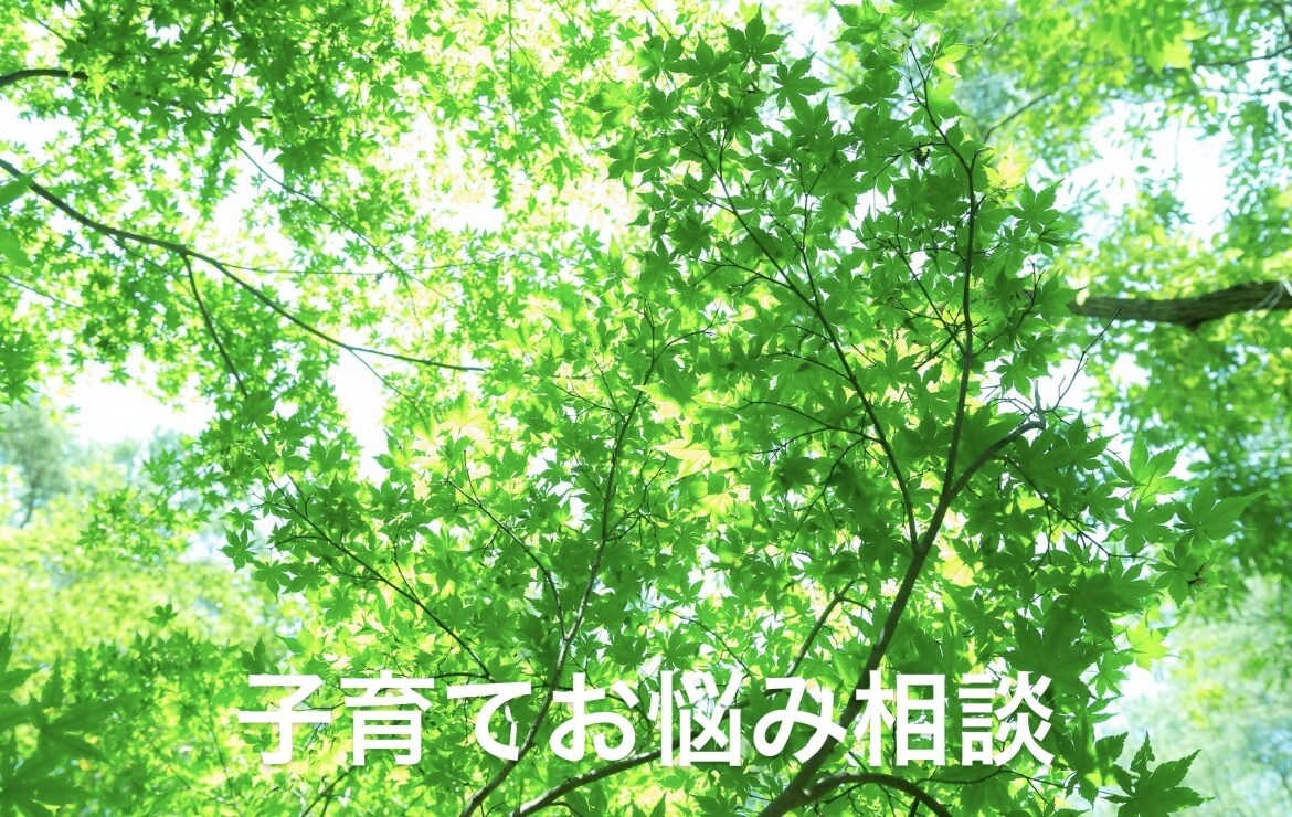 子育て、育児の悩みなんでも聞きます 保育歴7年の私が、あなたの気持ちに寄り添います。 イメージ1