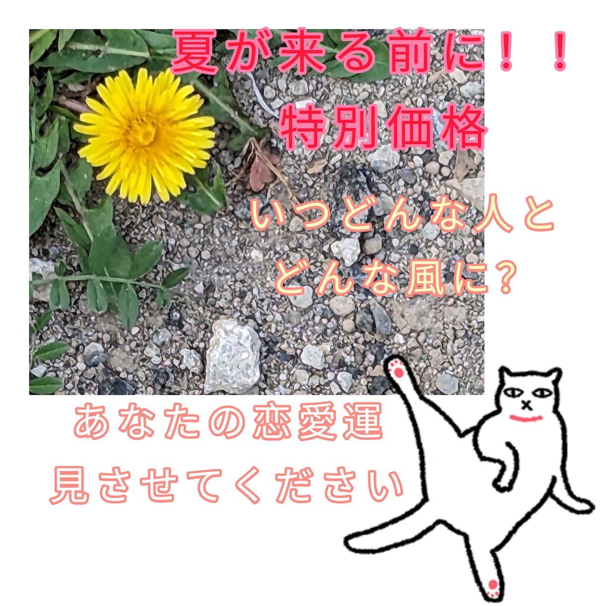 特別価格！恋愛運、タロットカードに聞いてみます 夏が来る前に！恋をしたい！いつになったらどんな恋人ができる？ イメージ1