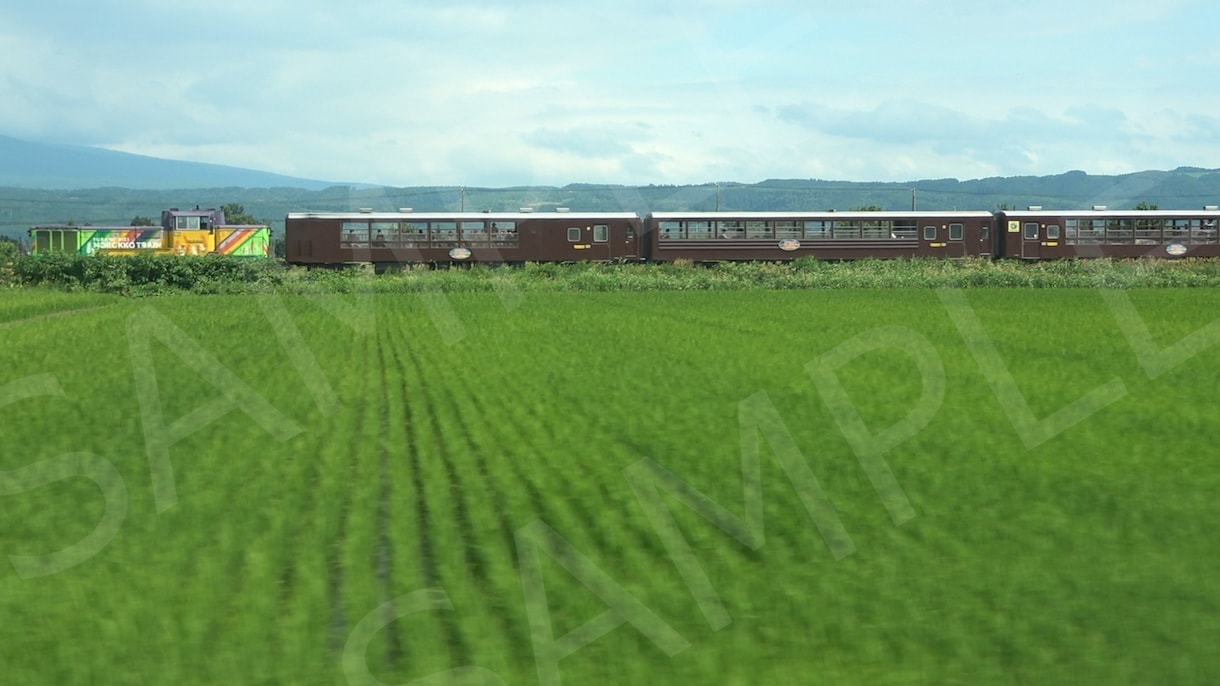 北海道内の写真撮影を行います 道内の公共交通機関(一部例外)で行ける範囲に出張します イメージ3
