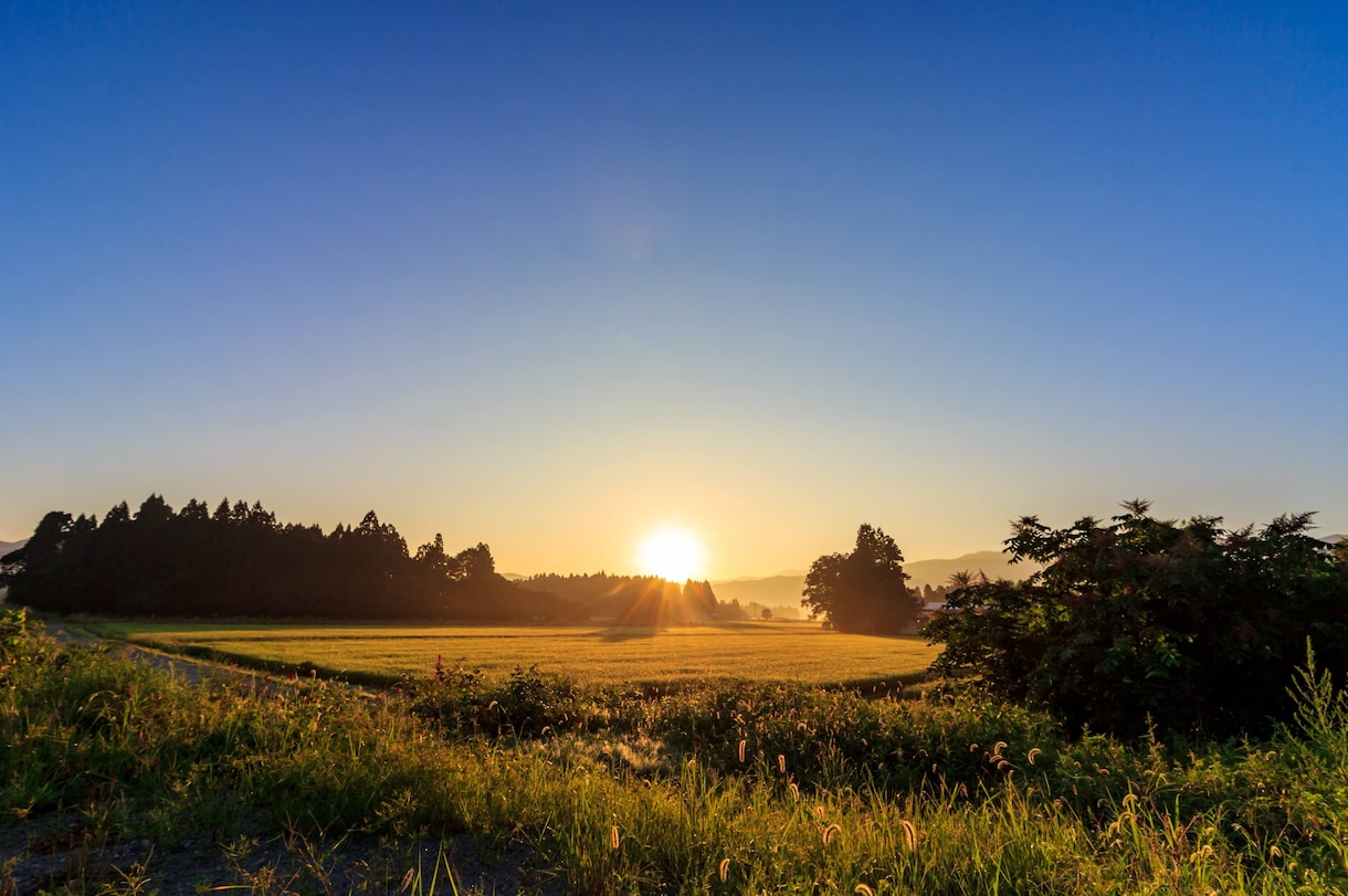 カメラのRAWデータを現像（100枚）します RAW現像作業が間に合わない方・現像する環境にお困りの方。 イメージ3