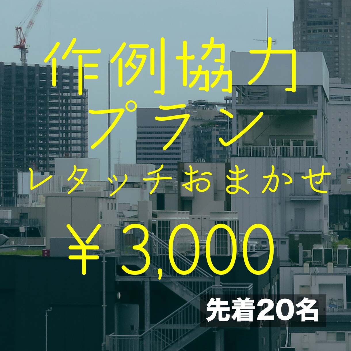 作例にご協力お願いいたします 先着20名様だけの特別価格です イメージ1