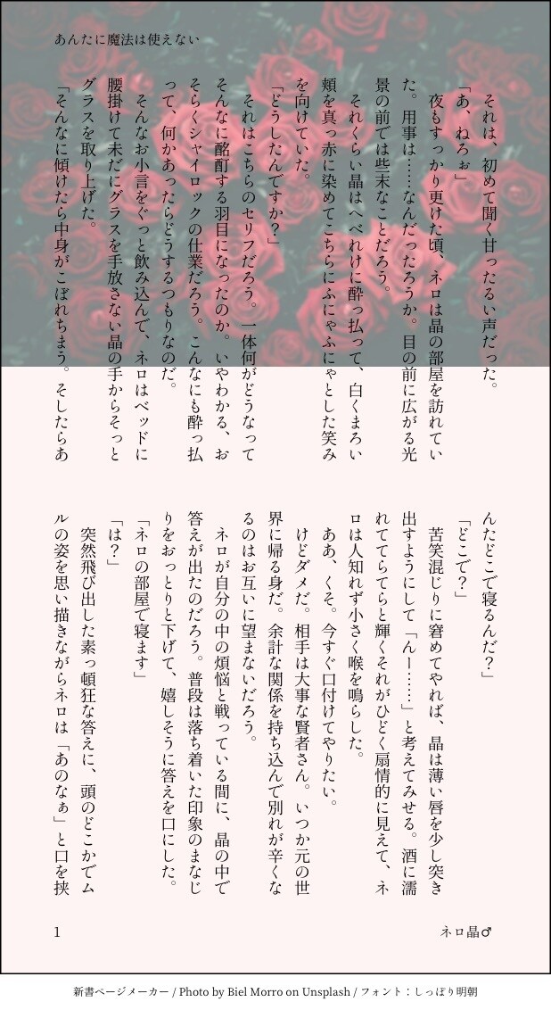 なんでも恋愛小説書きます BLGL男女カプなんでもありの恋愛小説&夢小説書きます！ イメージ2