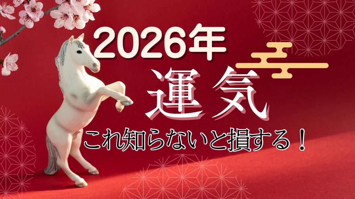 2026年運勢★開運する過ごし方伝授します 3000字以上内容充実！当たる月運と具体的開運アドバイス！ イメージ1