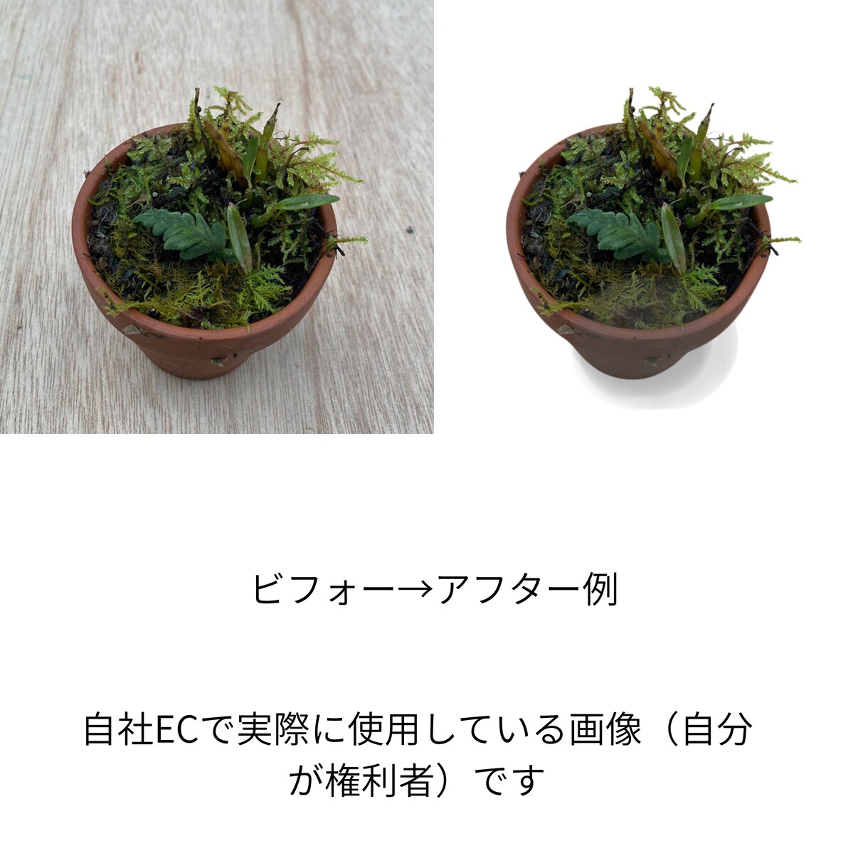 商品画像の切り抜き＆影付けます EC画像、1枚から即対応します イメージ3